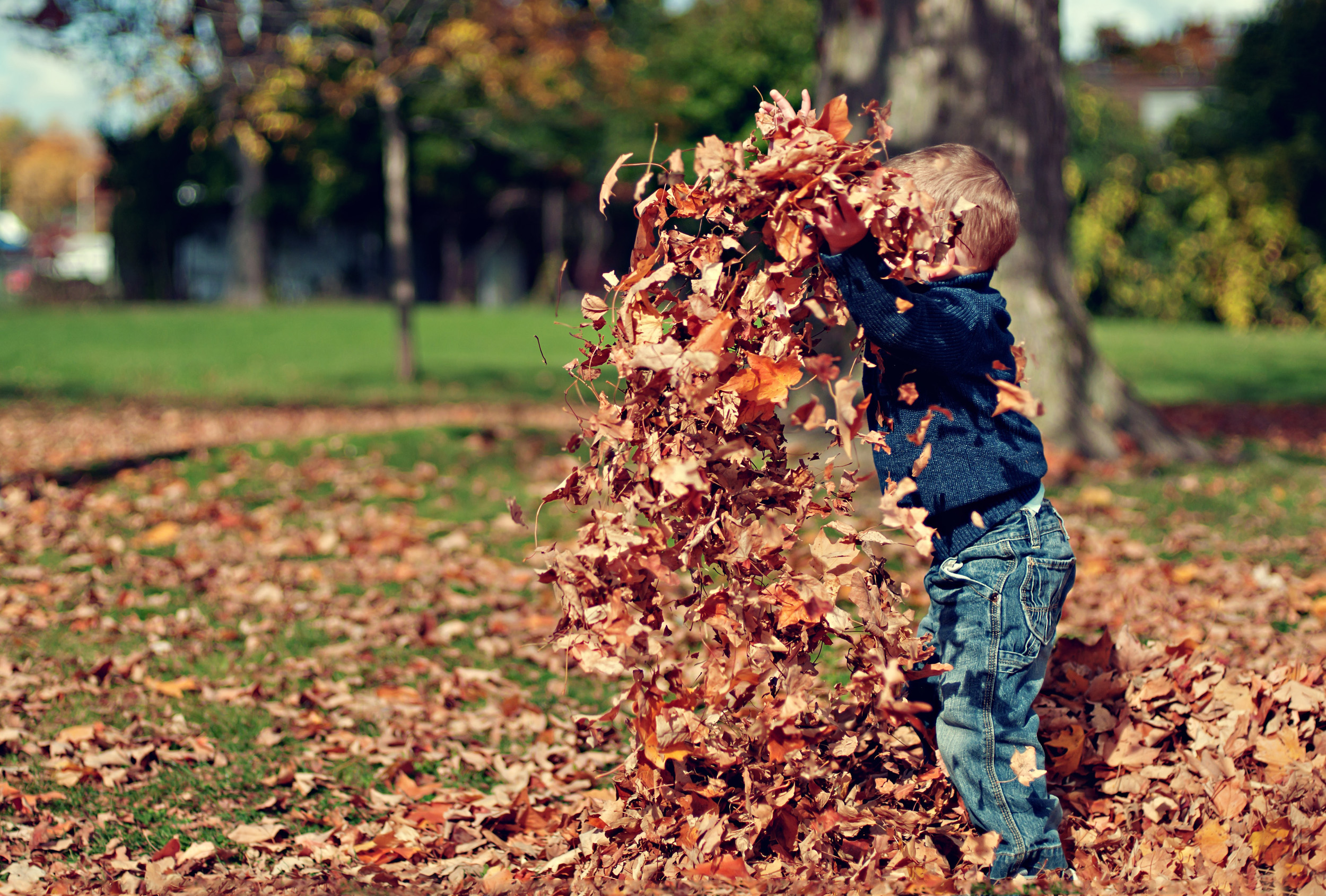 Child playing outdoors with leaves - Harton Village Kindergarten Kids Club